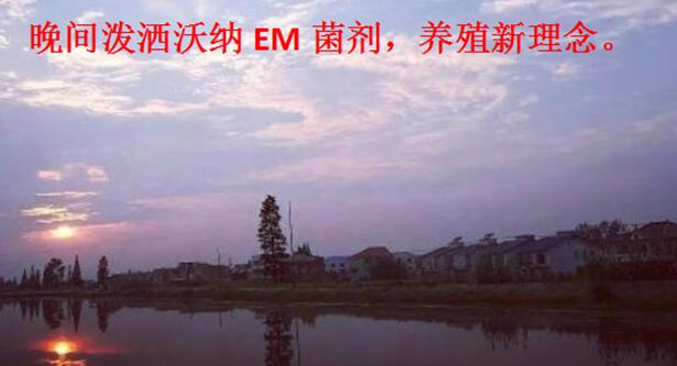 沃納淨水與改底(圖1)